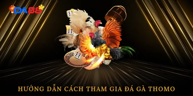 Đá Gà Thomo DA88 – Cách Chơi & Kinh Nghiệm Soi Kèo Cho Người Chơi - POTEXI