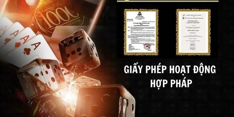 Giấy Phép Hoạt Động DA88: Cơ Sở Pháp Lý & Độ Uy Tín Quốc Tế 2026 - POTEXI