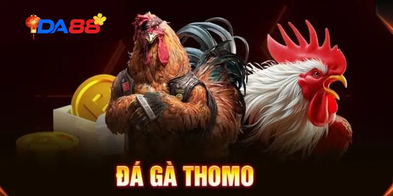 Đá Gà Thomo DA88 – Cách Chơi & Kinh Nghiệm Soi Kèo Cho Người Chơi - POTEXI