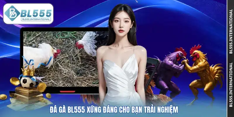 Đá Gà BL555 – Kênh Cá Cược Trực Tuyến Hấp Dẫn Và Uy Tín - POTEXI