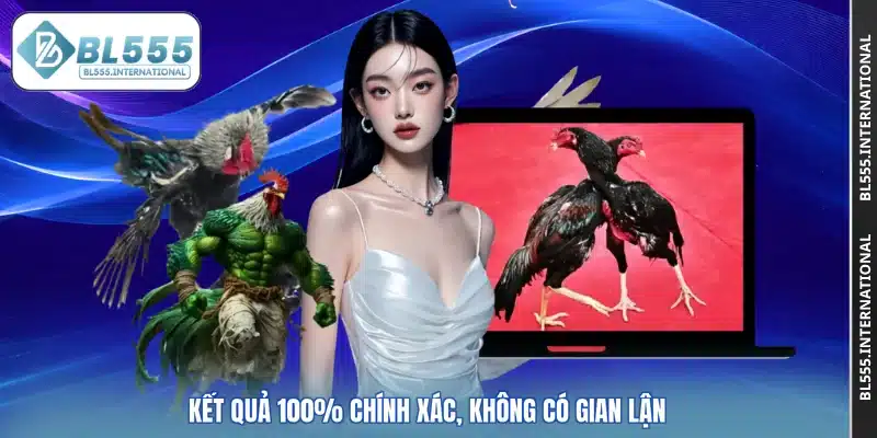 Đá Gà BL555 – Kênh Cá Cược Trực Tuyến Hấp Dẫn Và Uy Tín - POTEXI