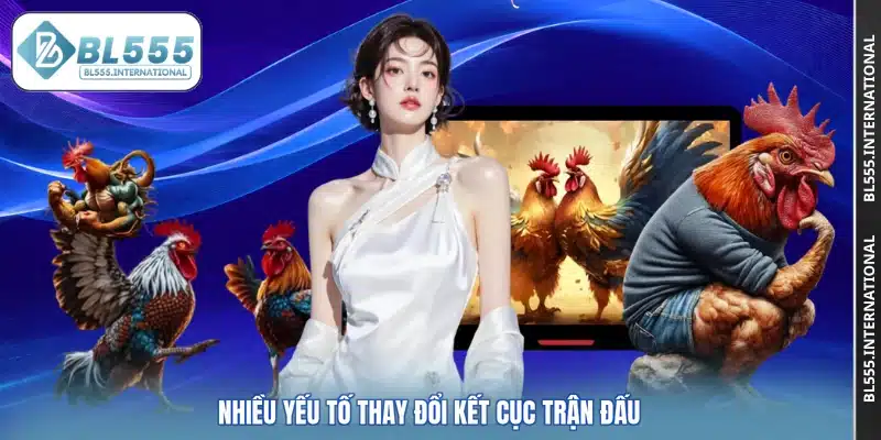 Đá Gà BL555 – Kênh Cá Cược Trực Tuyến Hấp Dẫn Và Uy Tín - POTEXI