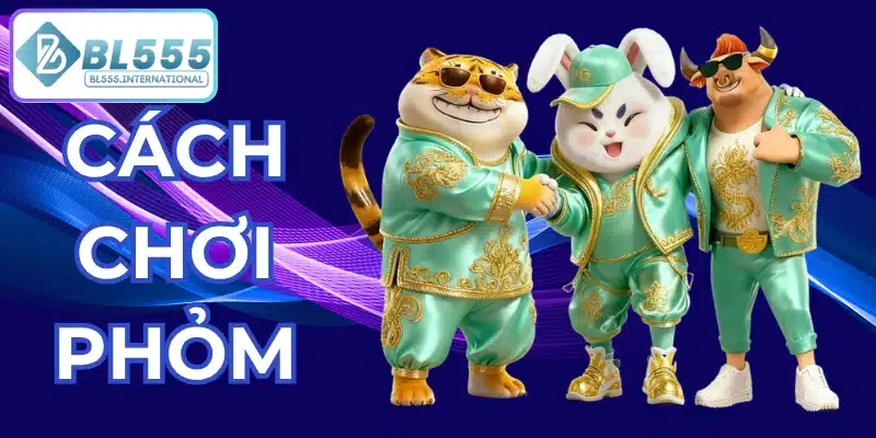 Cách Chơi Phỏm Chi Tiết Cho Người Mới Từ A-Z 2026 - POTEXI