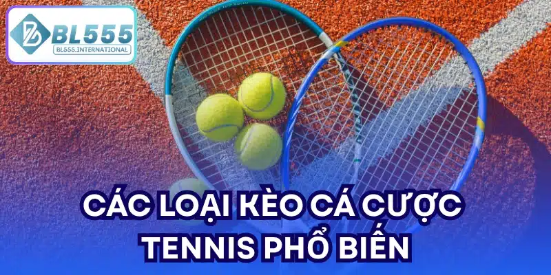 Cá Cược Tennis BL555 – Hướng Dẫn Soi Kèo Hiệu Quả 2026 - POTEXI