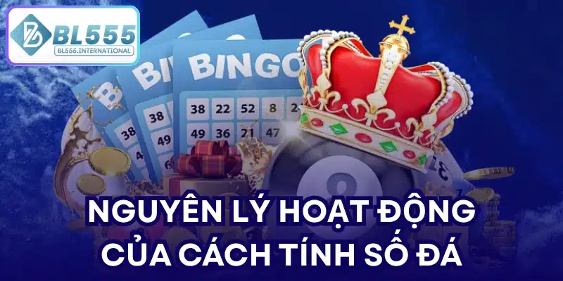 Cách Tính Số Đá Chuẩn, Dễ Hiểu Cho Người Mới 2026 - POTEXI