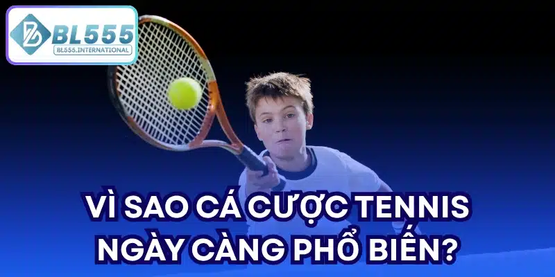 Cá Cược Tennis BL555 – Hướng Dẫn Soi Kèo Hiệu Quả 2026 - POTEXI