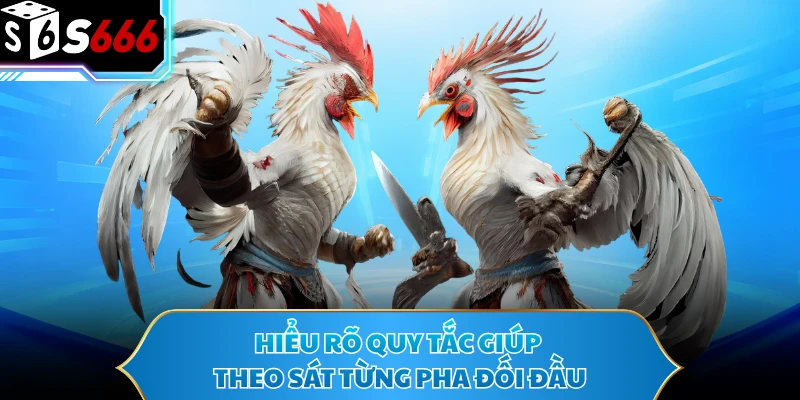 Đá Gà Thomo - Bùng Nổ Với Những Màn Đối Đầu Tốc Độ Cao - POTEXI Đá Gà Thomo - Bùng Nổ Với Những Màn Đối Đầu Tốc Độ Cao - POTEXI