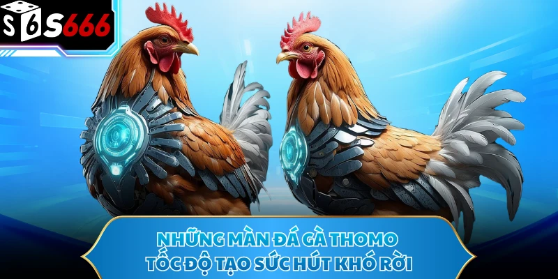 Đá Gà Thomo - Bùng Nổ Với Những Màn Đối Đầu Tốc Độ Cao - POTEXI Đá Gà Thomo - Bùng Nổ Với Những Màn Đối Đầu Tốc Độ Cao - POTEXI