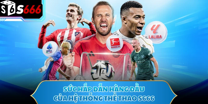Thể Thao S666 - Cách Phân Tích Kèo Cược Chiến Thắng 95% - POTEXI